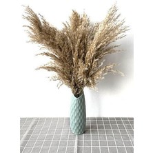 Alyones Doğal Dekoratif 7'li Büyük Demet Dökülmeyen Pampas