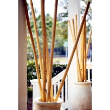 Alyones Dekoratif 10'lu Süs Bambu Çubuğu 1 M Boyunda