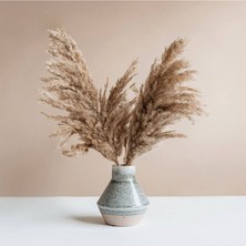 Alyones Dekoratif Pampas 7'li Kuru Çiçek