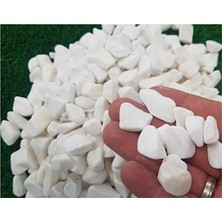 Alyones Beyaz Dolomit Taş 5 kg 1,5-2,5 cm Bahçe Taşı Dekoratif Taş Dere Taşı