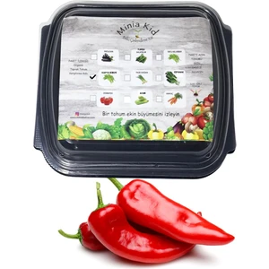 Minia Bahçe Biber (Kapya-Kırmızı) Çimlendirme Kiti