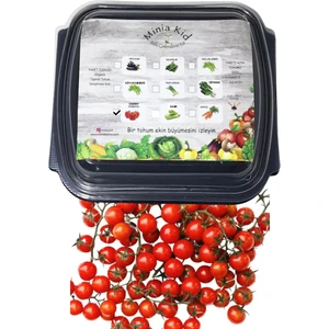 Minia Bahçe Domates (Cherry) Çimlendirme Kiti