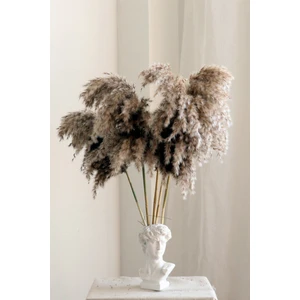 Gerçek Natural 7'li Kuru Çiçek Pampas