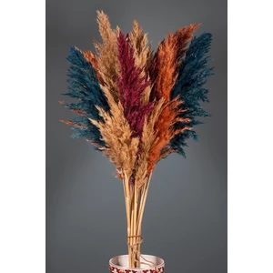 Sonbahar Renkli Şoklanmış 16'lı Pampas Otu 100CM