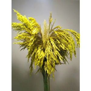 8'li Büyük Demet Pampas Sarı 100CM Boyunda