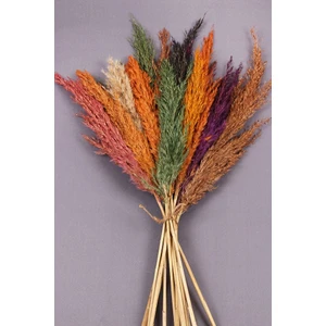 Kuru Çiçek Pampas 15 Adet 100 cm Boy - Karışık