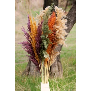 Kuru Çiçek Pampas 15 Adet 100 cm Boy - Karışık