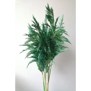 8'li Büyük Demet Pampas Zümrüt Yeşil 100CM Boyunda