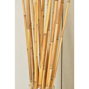 Bambu 10'lu Bitki Destek Çubuğu 100CM Boyunda