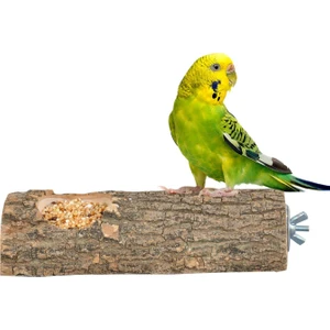Kuş Tünek Papağan Tüneği Doğal Ağaç Kuş Tüneği Yemlik Kütük Tünek Uzunluk 15 cm