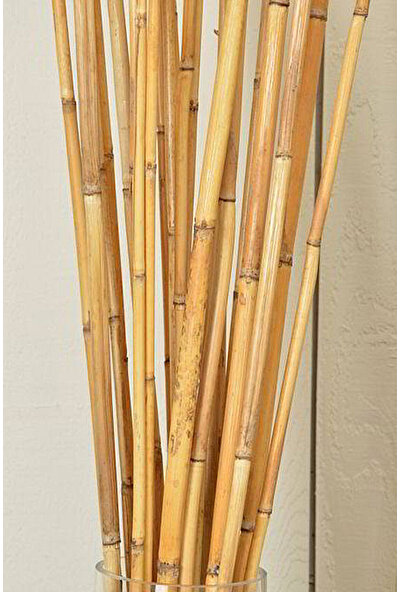Alyones Bambu 10'lu Bitki Destek Çubuğu 100CM Boyunda
