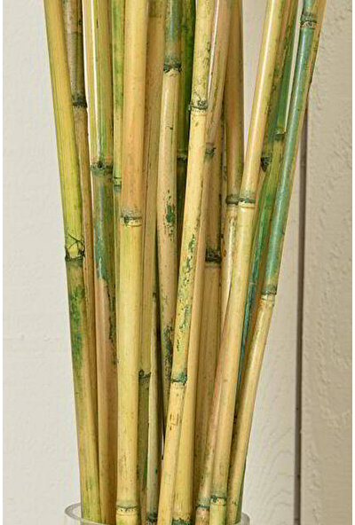 Alyones Bambu 10'lu Bitki Destek Çubuğu 100CM Boyunda