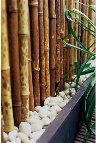 Alyones Dekoratif 10'lu Süs Bambu Çubuğu 1 M Boyunda