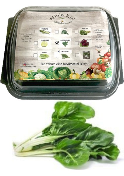 Kid Pazı Çimlendirme Kiti