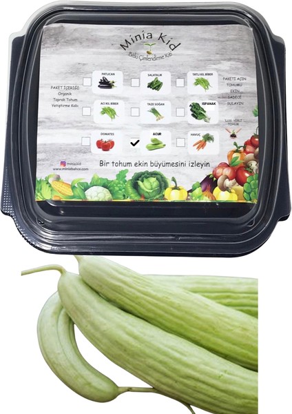 Minia Bahçe Acur Çimlendirme Kiti