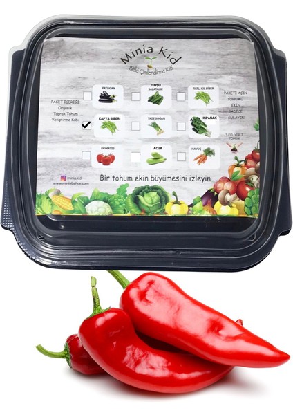 Minia Bahçe Biber (Kapya-Kırmızı) Çimlendirme Kiti