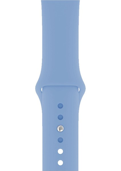 Watch 2 3 4 5 6 7 Se 38 40 41MM A+ Kaliteli Silikon Kordon Retro Blue