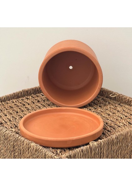 Ruby Saksı - Naturel 12cm