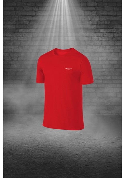Büyük Beden Erkek Kırmızı Dri-Fit Kumaş Cepli Baskısız Sıfır Yaka Kısa Kol Alt Üst Takım Tişört Şort Seti (4XL-10XL) fiyatları