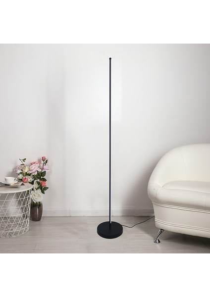 Baton LED Lambader 165 Cm