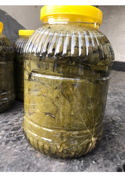 2022 Yeni Sezon Sultaniye Çekirdeksiz Üzüm Yaprağı Salamura 5 kg