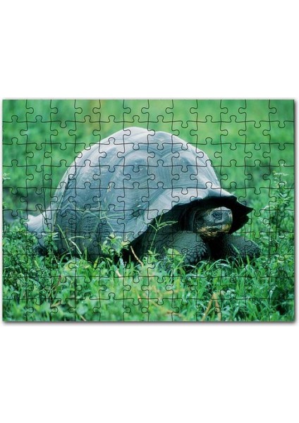 Yeşil Çayırdaki Kaplumbağa 120 Parça Puzzle Yapboz Mdf (Ahşap)