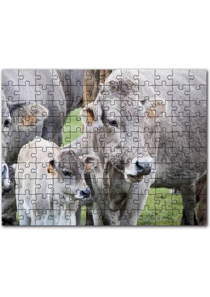 Çayırda Gri Inekler ve Sevimli Buzağı 120 Parça Puzzle Yapboz Mdf (Ahşap)