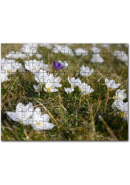Çayırda Beyaz Çiğdem Çiçekleri 120 Parça Puzzle Yapboz Mdf (Ahşap)