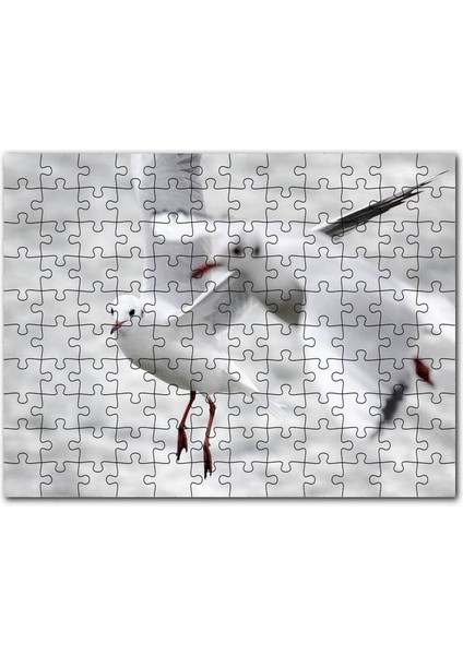Iki Martı Yakın Çekim Flu Deniz Arkaplan 255 Parça Puzzle Yapboz Mdf (Ahşap)