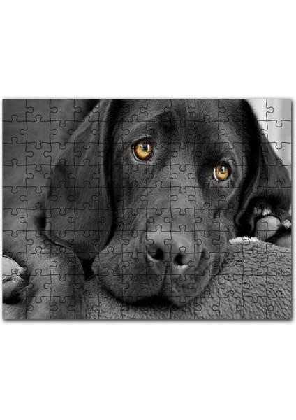 Kara Labrador, Üzgün Köpek 120 Parça Puzzle Yapboz Mdf (Ahşap)