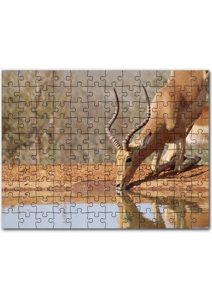 Savanada Diz Çökmüş Su Içen Impala 120 Parça Puzzle Yapboz Mdf (Ahşap)