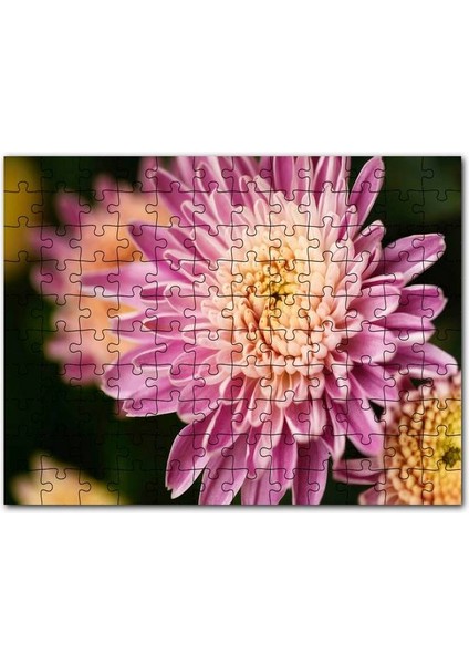 Sarı ve Pembe Çiçek Yakın Çekim Flu Arkaplan 255 Parça Puzzle Yapboz Mdf (Ahşap)