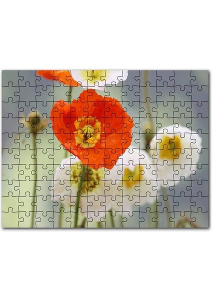Kırmızı ve Beyaz Gelincikler Yakın Çekim 120 Parça Puzzle Yapboz Mdf (Ahşap)