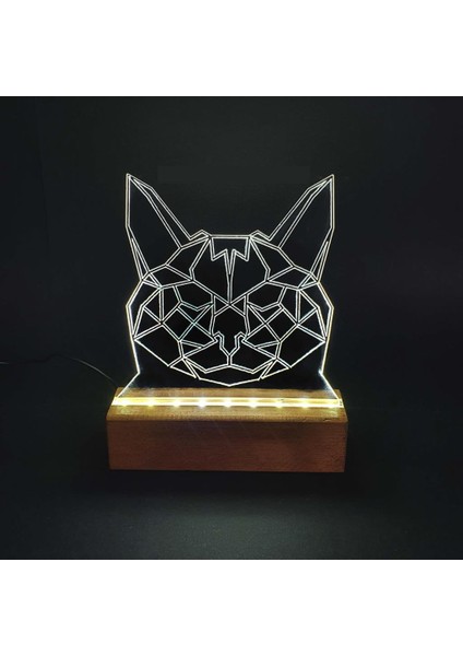Kedi LED Işıklı Pleksi Gece Lambası