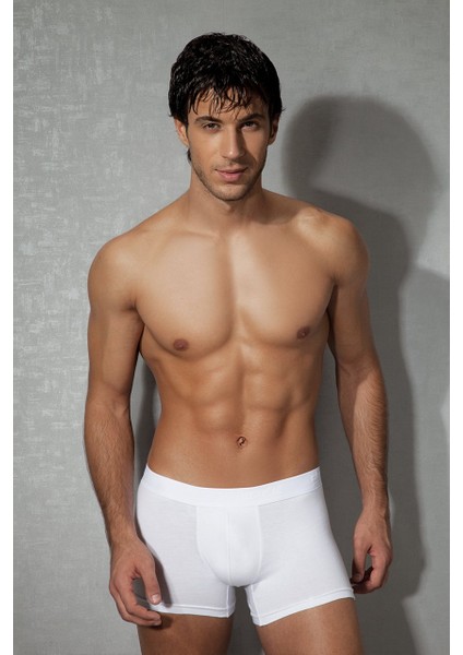 Essentials Erkek Boxer 1767 fiyatları