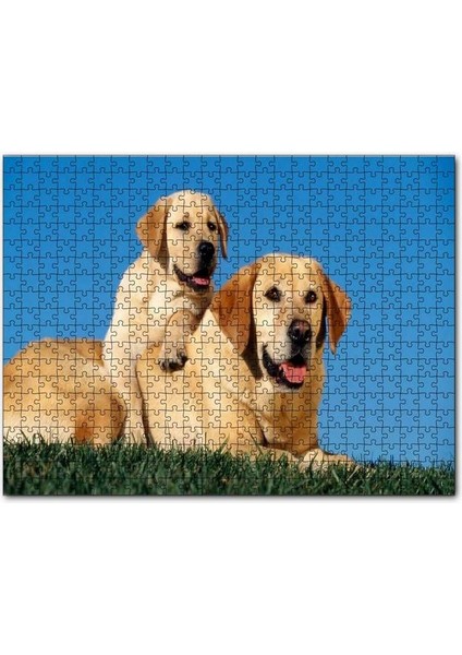 Çayırda Anne Labrador ve Yavrusu 120 Parça Puzzle Yapboz Mdf (Ahşap)