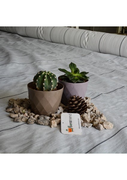 1 x 30 Metre Sulzer Kumaş Sera Taban Örtüsü Jüt Blueberry Peyzaj Uygulama Örtüsü Mulch Naylonu Çilek Malç fırsatları