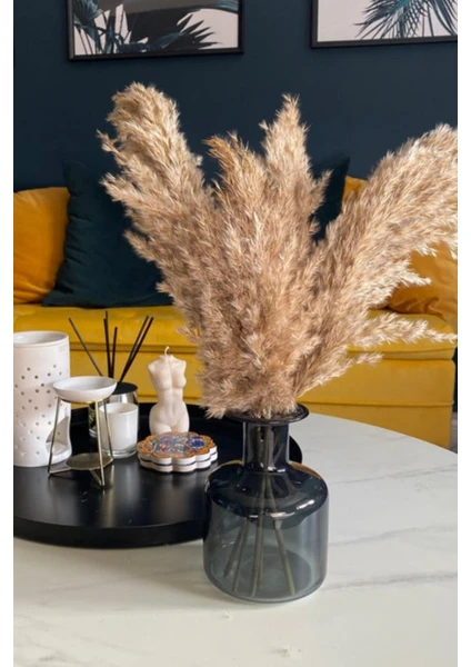 Dekoratif 7'li Natural Pampas 100CM Boyunda