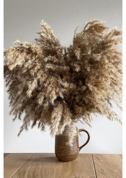 Dekoratif Natural 7'li Pampas
