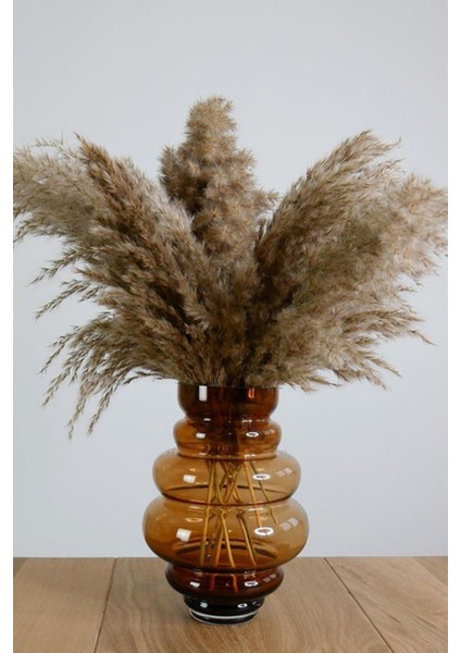 Dekoratif Natural 7'li Pampas fiyatları