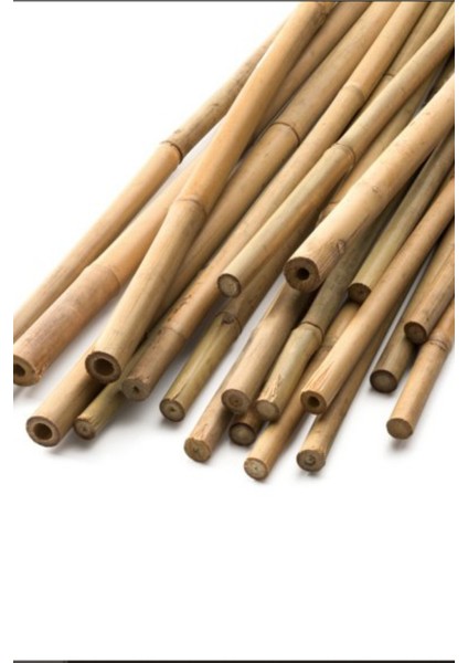 Dekoratif 10'lu Süs Bambu Çubuğu 1 M Boyunda fırsatları