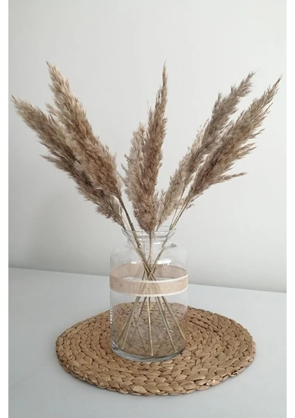 Kuru Çiçek Pampas Küçük 7'li Demet 50 cm (Natural)