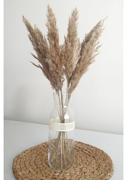 Kuru Çiçek Pampas Küçük 7'li Demet 50 cm (Natural)