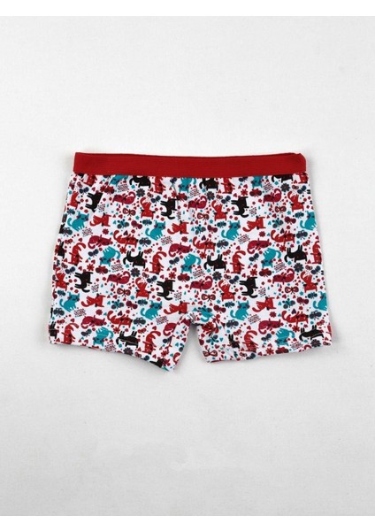 Kız Çocuk Desenli Likralı Boxer 3072 - 6 Adet