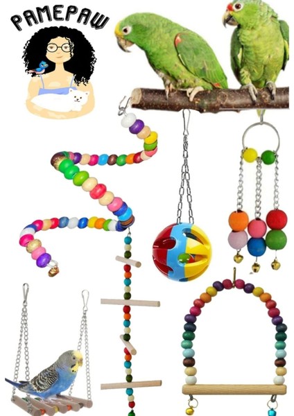 Muhabbet Kuşu ve Papağanlar Için Mega Salıncak Oyuncak Seti 6'lı