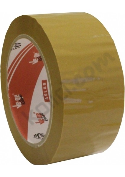 45x100 Taba Koli Bantı 2 Adet