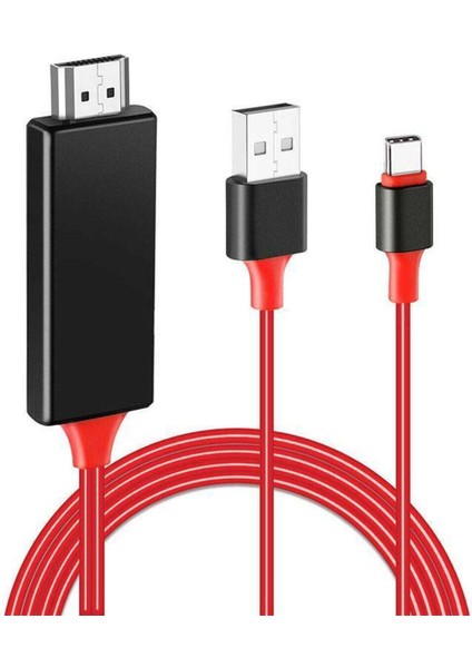 PM-6019 Th+Usb Type-C To Hdmı + USB 2 Metre Kablo