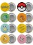 Pokemon Çanta Rozeti Seti 8 Adet En Büyük Boy 5.8cm Iğneli Broş 1