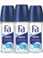 Aqua Roll-On X 3 Adet 2