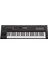 MX49 Synthesizer 1